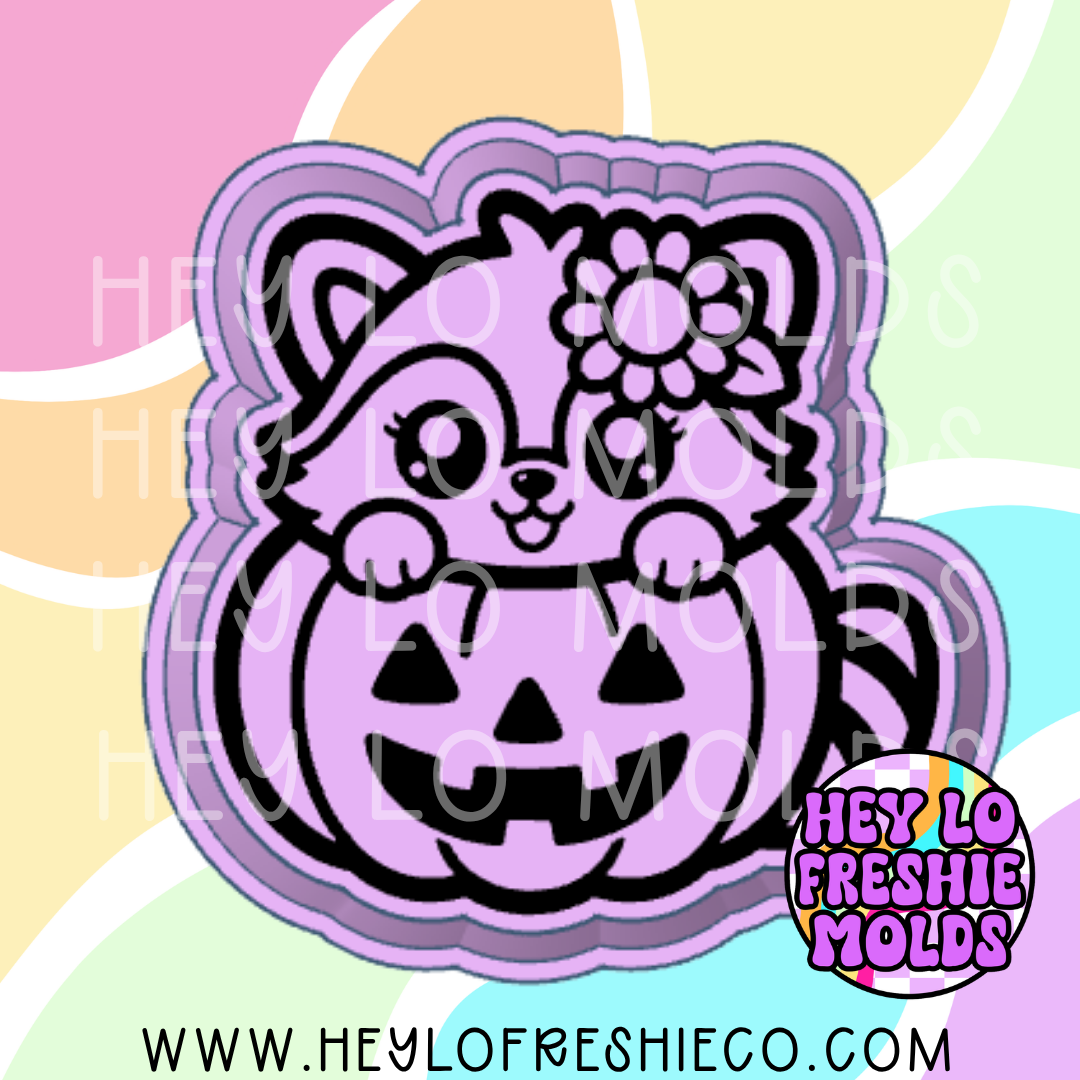 Raccoon In Pumpkin Silicone Mold